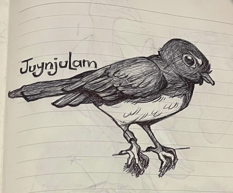Ink drawing of a small bird labelled “Juynjulam,” showing detailed feathers and stance. A concept sketch for Bundjalung species identification and language cards.