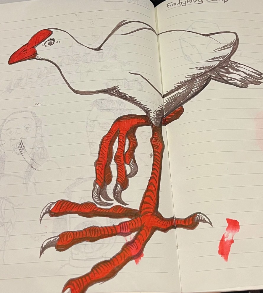 Stylised drawing of a waterbird with a white body, red beak, and exaggerated long red legs, created as a character exploration for Bundjalung wildlife resources.